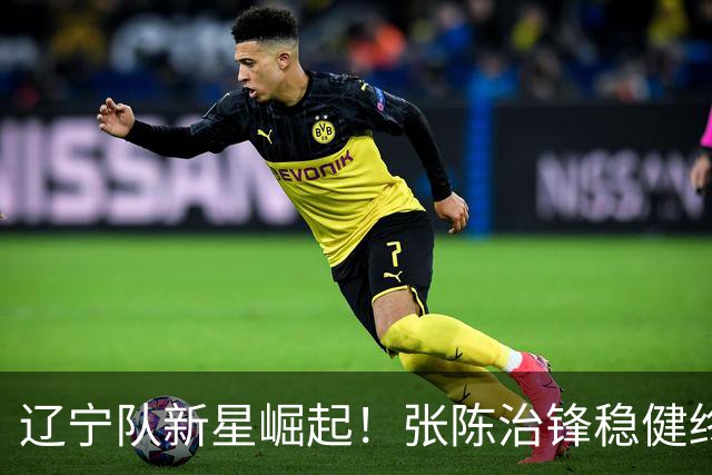 辽宁队新星崛起！张陈治锋稳健终结，吴昌泽火力全开